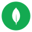 Mongodb